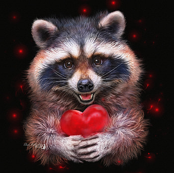 Be my Valentine, elena roslyakova, alenaekaterinburg, raccoon, heart, animal, frumusete, art, raton, gorgeous, superb, valentine, red HD wallpaper