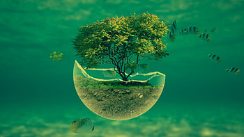 ... 1188_3d_abstract -underwater-tree---abstract -- ... HD wallpaper