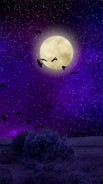 Moon, Purple Moon HD phone wallpaper