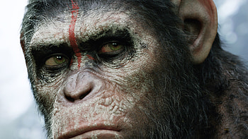 Planet of the Apes, , XS HD wallpaper