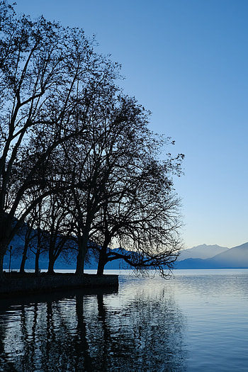 Nature, Water, Trees, Mountains, Lake, Shore, Bank HD phone wallpaper