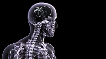 pics attractive skull brain x ray gears technology quality background HD wallpaper