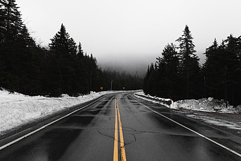Nature, Snow, Road, Turn, Fog, Overcast, Mainly Cloudy HD wallpaper
