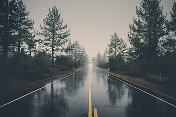 A serene rain-soaked road cutting through a misty forest, creating a mystical atmosphere. HD wallpaper