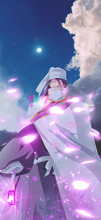 Bleach, sky, magenta, soulsociety, kurosaki, kuchikibyakuya, gotei13, ichigo, ichigokurosaki, yoruichi, manga, byakuya, kuchiki, anime HD phone wallpaper