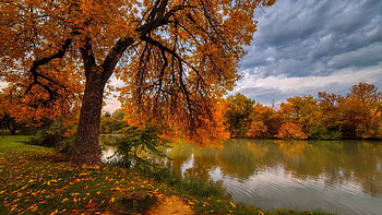 A cloudy day in the fall, branches, clouds, autumn, pond, foliage, tree, fall, lake, leaves, day, reflection HD wallpaper