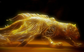 ~Glow Cat~, cat, cg, abstract, 3d HD wallpaper