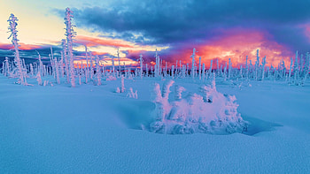 Sumava NP, Bohemia, Czech Republic, snow, trees, colors, landscape, clouds, sky, sunset HD wallpaper
