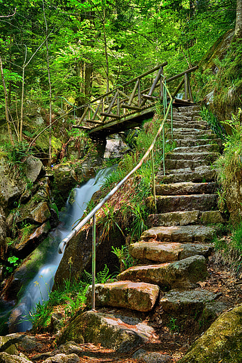 Nature, Stones, Waterfall, Bridge, Steps, Creek, Brook HD phone wallpaper