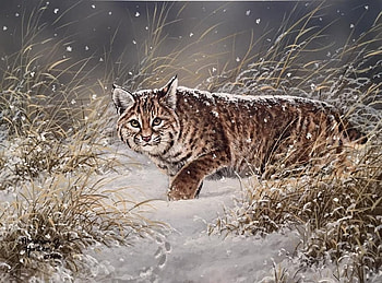 Wild cat, winter, pisici, painting, abraham hunter, art, iarna, pictura HD wallpaper