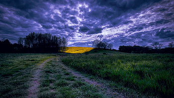 A New Days Morning, sky, road, trees, fields, clouds, colors HD wallpaper