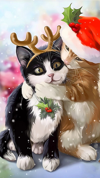 Cute Christmas, Cute Christmas Two Cat HD phone wallpaper