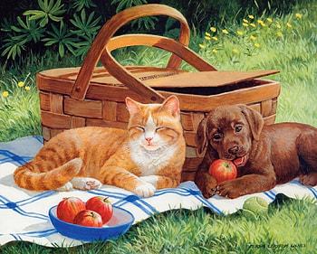 Picknick, dog, paint, cat, animals HD wallpaper