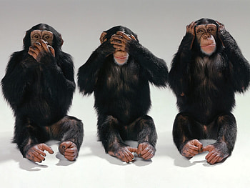 Animals, Monkeys, Improvisation, Blind, Deaf, Dumb HD wallpaper
