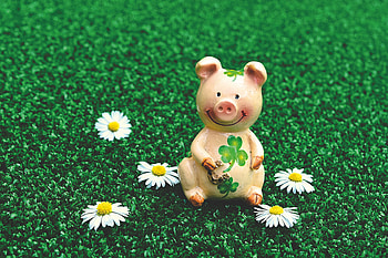 Miscellanea, Miscellaneous, Statuette, Symbol, Luck, Pig, 2019 HD wallpaper