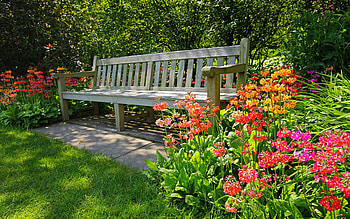 Bench in spring park, bench, rest, freshness, garden, beautiful, grass, flowers, park, trees HD wallpaper