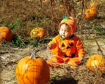 Lovely Halloween Pumpkins, pumpkins, little girl, halloween, garden, lovely, fall season HD wallpaper