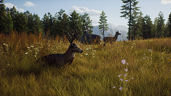 Way of the Hunter, video game, Way of the Hunter HD wallpaper