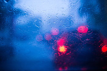 Rain Macro , rain, blur, graphy HD wallpaper