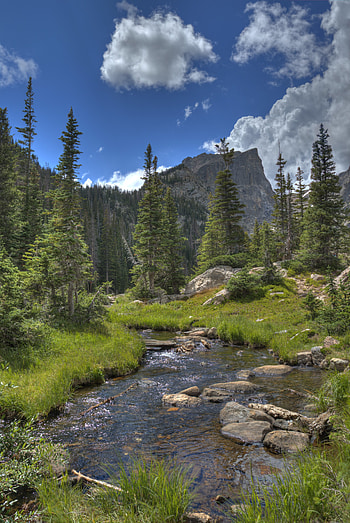 Nature, Rivers, Trees, Grass, Rock, Mountain, Spruce, Fir HD phone wallpaper