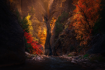 Autumn River, river, trees, autumn, rocks HD wallpaper