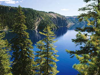 Landscape, Mountains, Fir-Trees, Lakes HD wallpaper