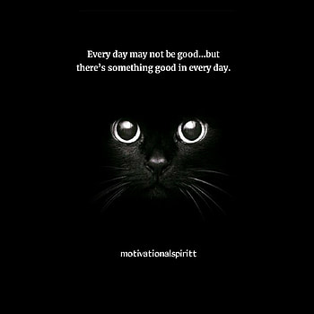Motivational quotes, success quotes, motivation , success, motivation HD phone wallpaper