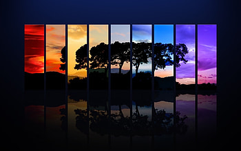 Trees, Background HD wallpaper