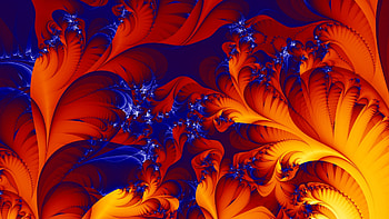 Colorful Feathers, colorful, digital, feathers, abstract, arts HD wallpaper