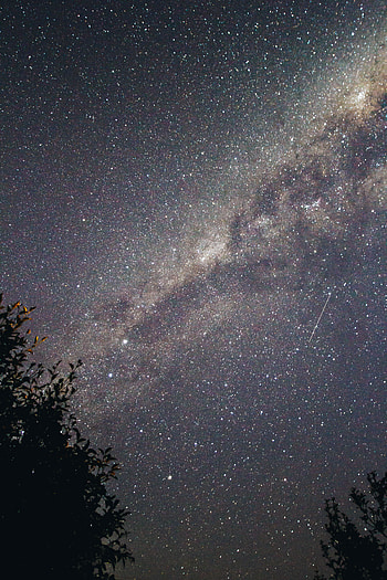 Universe, Stars, Night, Dark, Starry Sky, Branches HD phone wallpaper