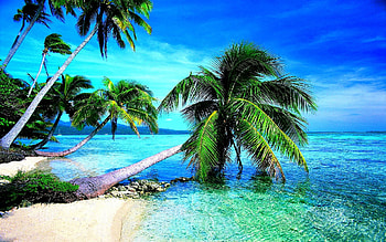 Beach Screensavers HD wallpaper