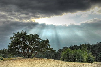 Landscape, Nature, Trees, Clouds HD wallpaper