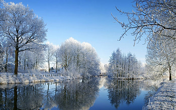 Winter, river, reflection, trees, nature HD wallpaper