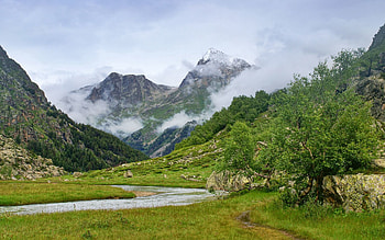 Nature, Rivers, Grass, Mountains, Wood, Tree, Fog, Serenity, Foot HD wallpaper