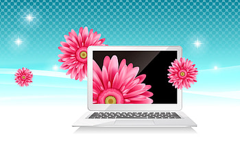 Flowers, Vector, , Design, Notebook, Laptop, Grainy HD wallpaper