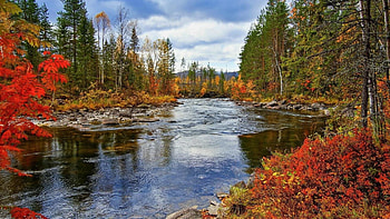 Autumn River, fall, clouds, landscape, trees, colors, sky, forest, stones HD wallpaper