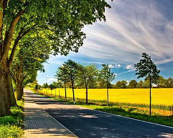 Spring Road . Spring Road stock HD wallpaper