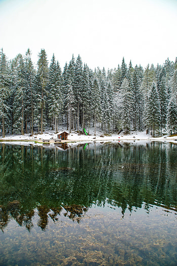 Landscape, Nature, Snow, Lake, Privacy, Seclusion, Forest, Small House, Lodge HD phone wallpaper