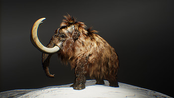 Mammoth in characters, UE Marketplace, Mammoth 3D models, UE Marketplace mammoth HD wallpaper