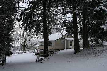 A Snowy Day, other, people, forest, snow HD wallpaper