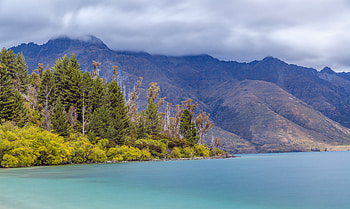 Nature, Mountains, Lake, Forest, Fog HD wallpaper