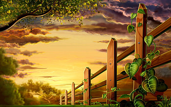 Plants HD wallpaper