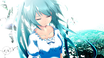 Hatsune Miku, awesome, cute, vocaloid, beauty, nice, miku, vocaloids, hatsune, aqua eyes, sexy, white, twintail, hot, meadow, girl, aqua, beautiful, diva, anime, pretty, aqua hair, cool, idol, virtual HD wallpaper