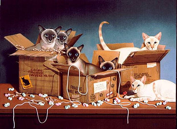 Cats in boxes, kitten, box, painting, art, cat, feline HD wallpaper