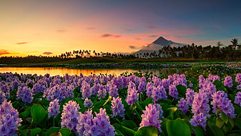 Nature's splendor, beauty, Stunning , Breathtaking landscapes HD wallpaper