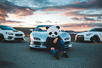 Panda Helmet Guy With Cars, cars HD wallpaper