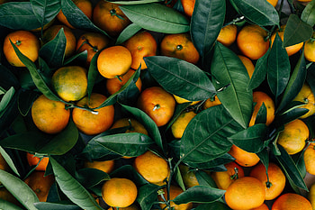 Fruits, Food, Leaves, Tangerines, Citrus HD wallpaper