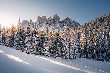Nature, Mountains, Snow, Rocks, Spruce, Fir, Snow Covered, Snowbound HD wallpaper