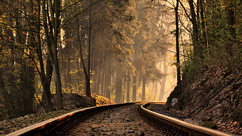 railroad track in a forest on a misty morning, fog, morning, tracks, forest, railroad HD wallpaper