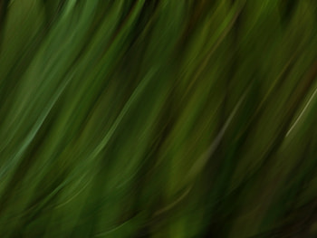 Abstract, Lines, Blur, Smooth, Stripes, Streaks, Distortion HD wallpaper